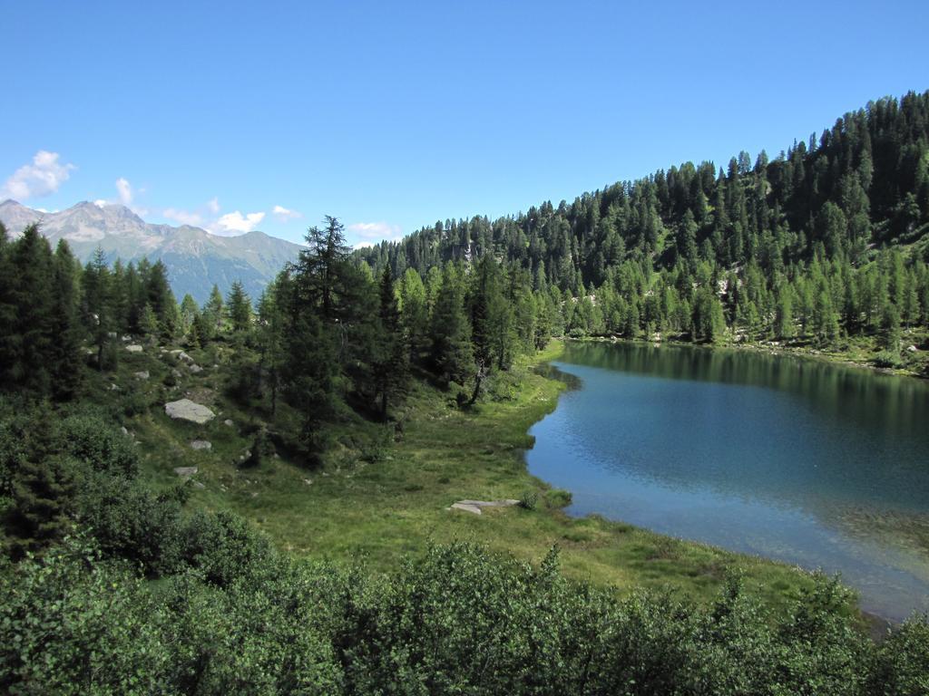 Apartment Res.albare/solaria Apt.solandra Mezzana (Trentino Alto Adige)